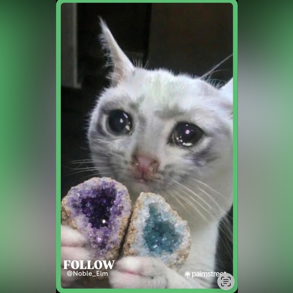 💘💝VALENTINES DAY🌹💌 “THE LOVE RAID TRAIN” 🚂 SATURDAY 02/14/2026 - Picture 8 of 12